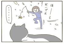 飼い主が全力で誘っても無視。何人たりとも邪魔できない愛猫の日向ぼっこ／うちの猫がまた変なことしてる。