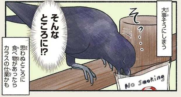 隠すところは見ないで。カラスは妙なところに食べ物を隠しがち／意外と知らない鳥の生活