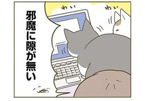 「構え！」激化する猫のアピール。対策の結果は...ああ／うちの猫がまた変なことしてる。2