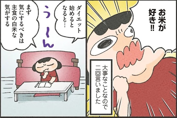 【30キロ痩せ】痩せたいけどお米大好き！「抜き」じゃなくて「減らす」工夫／食べるのを1回も我慢せずに30キロ痩せました！