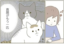 猫のリアクションが悲しすぎる...飼い主が「愛情を伝えるサイン」を出したら／うちの猫がまた変なことしてる。2