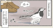鳥なのにめっちゃ走る！ コンビニの駐車場で疾走する鳥は...？／意外と知らない鳥の生活