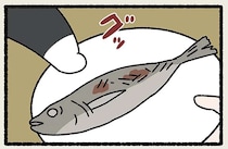 「ねこを追うより皿を引け」っていう言葉、知ってる？ でも、こんなときはどうすれば...／ねことわざ