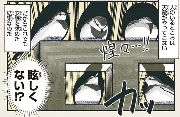 安眠と引き換え？ あの鳥が明るい駅前で夜をすごす理由／意外と知らない鳥の生活