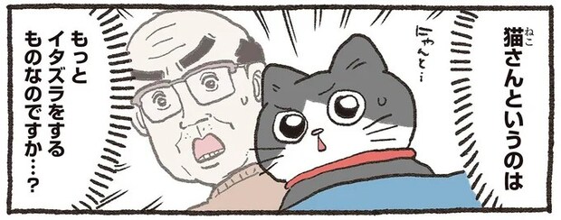 これぐらいなら...イタズラすると決めたねこおじが目をつけたのは?/ねこに転生したおじさん5