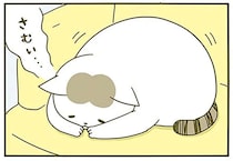 猫のため床暖房をつけた飼い主。なかなか暖かさに気付いてくれなくて...／うちの猫がまた変なことしてる。2