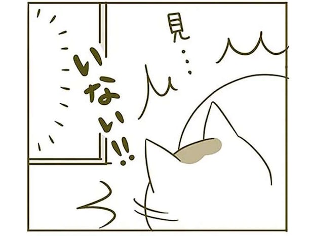 食べる様子を見ていてほしい猫。飼い主がそっといなくなると...!?/うちの猫がまた変なことしてる。2