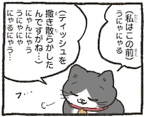 イタズラ談義でねこ友にドヤ顔するはずが...一枚も二枚の上手の相手に驚愕⁉／ねこに転生したおじさん5