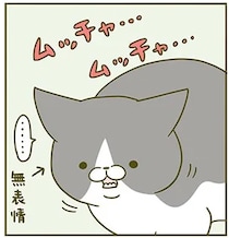 無表情で魚を食べる猫。どうやらいらなかったみたいで...こんな「表情」に／うちの猫がまた変なことしてる。2