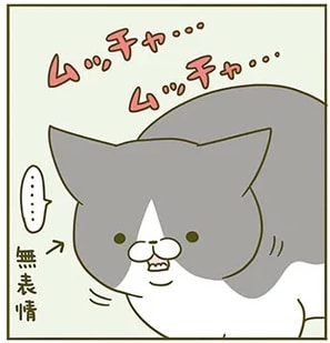 無表情で魚を食べる猫。どうやらいらなかったみたいで...こんな「表情」に/うちの猫がまた変なことしてる。2