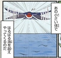 身近だけどすごい旅人。冬の今、この鳥たちがいるのは...？／意外と知らない鳥の生活