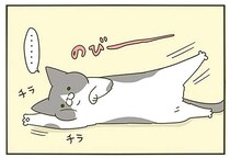 猫は「無言でもうるさい」。のびー、ぎゅりんっ...チラッ／うちの猫がまた変なことしてる。3