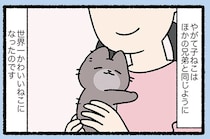 『みにくいアヒルの子なねこ』落ちこぼれねこが世界一かわいくなれたワケ／みっけ！ねこむかしばなし