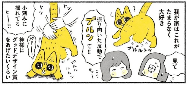 猫の「プルプルなお腹」が愛らしすぎて...触りたいと願い続けて起きた奇跡／茶トラのやっちゃん