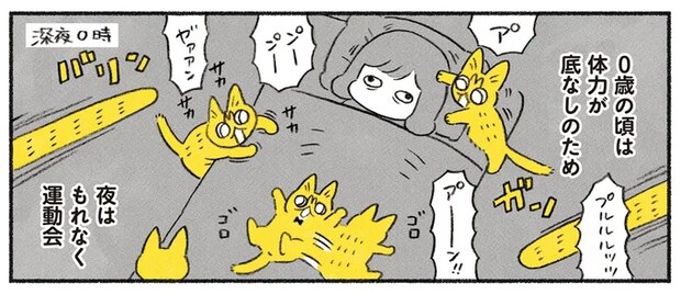 ボロボロだった保護猫はこんなに元気になりました。体力が底なしだった0歳時は...／茶トラのやっちゃん