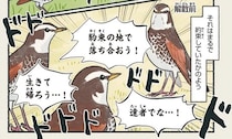 鳥の「ツグミ」の名前の由来、知ってる？ でもある暖かい日に...／意外と知らない鳥の生活