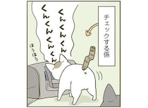 「これは寝床に...」。猫用キャリーの登場に喜ぶ猫。飼い主の胸が痛い理由／うちの猫がまた変なことしてる。3