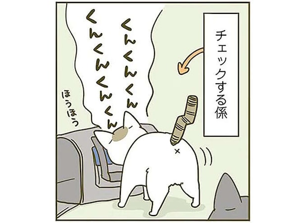 「これは寝床に...」。猫用キャリーの登場に喜ぶ猫。飼い主の胸が痛い理由／うちの猫がまた変なことしてる。3
