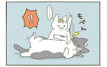 「もぺん」理不尽に叩かれた猫。人間みたいに「こんな表情」に／うちの猫がまた変なことしてる。3