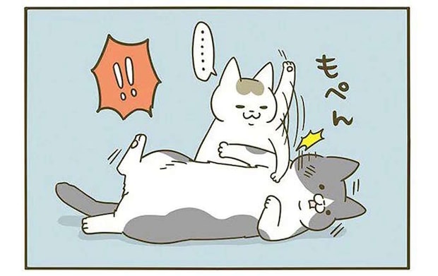 「もぺん」理不尽に叩かれた猫。人間みたいに「こんな表情」に／うちの猫がまた変なことしてる。3