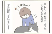 うちの猫の「干したての布団のような匂い」。でも油断したら...／うちの猫がまた変なことしてる。3
