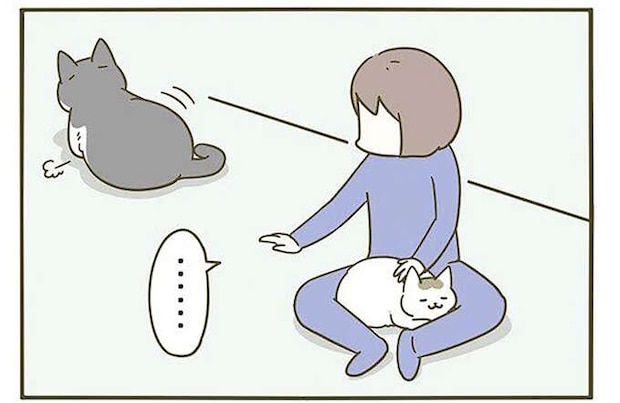 猫って何故こう...。 撫でていると離れていき「こんな顔」で振り返る／うちの猫がまた変なことしてる。3