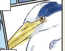 やたら存在感のある「あの映画の鳥」。動くものはなんでも丸のみ...これも!?／意外と知らない鳥の生活