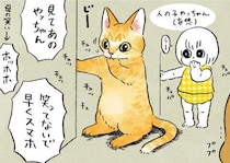 忘れられない「猫のあのポーズ」。保護された子猫はまるで幼児のように...！／茶トラのやっちゃん2