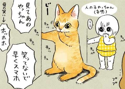 忘れられない「猫のあのポーズ」。保護された子猫はまるで幼児のように...！／茶トラのやっちゃん2
