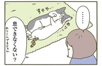くっついて眠る2匹の猫の愛らしい姿！ 飼い主は「息できるの？」と疑問を持つが...／うちの猫がまた変なことしてる。3