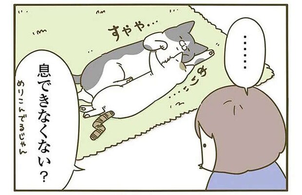 くっついて眠る2匹の猫の愛らしい姿！ 飼い主は「息できるの？」と疑問を持つが...／うちの猫がまた変なことしてる。3