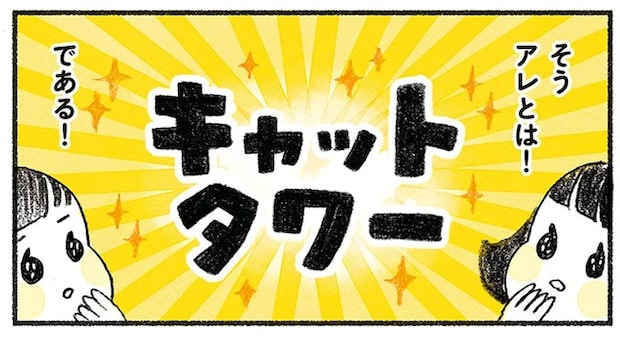 保護されてすっかり元気になった子猫。キャットタワーを準備したら...んん？／茶トラのやっちゃん2