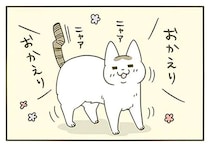 玄関で「ずっと待ってた」アピールする猫。顔をよく見てみると...あれ!?／うちの猫がまた変なことしてる。3