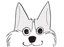 12歳の愛犬。嗅覚は変わらずでも聴覚は弱って来たかと思ったら...⁉【柴門ふみさん描きおろし「いつも犬が居た」】