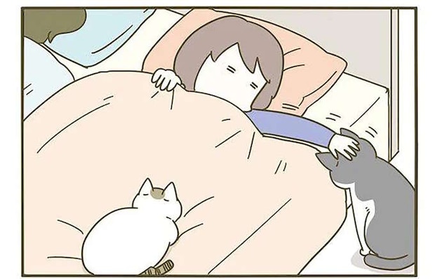 猫と暮らすと「眠れない」そして「起きられない」？ これは確かに...！／うちの猫がまた変なことしてる。3