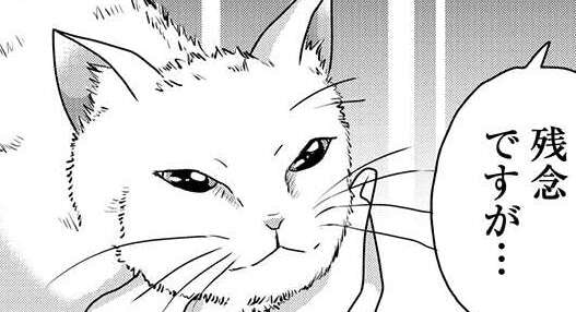 愛猫の余命は「あと2週間ぐらい」。猫と過ごしてきた部屋に帰った女性の「絶望」／木暮姉弟のとむらい喫茶