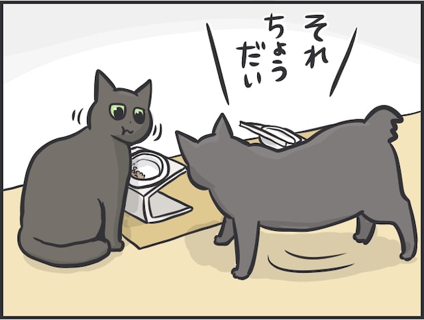 猫を飼うハードル4.PNG