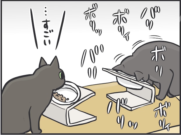 猫を飼うハードル5.PNG