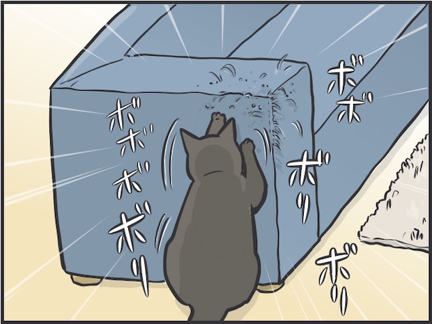 猫を飼うハードル7.PNG