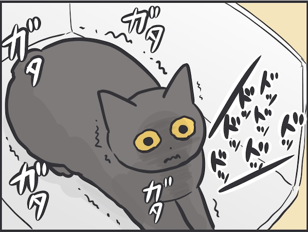 猫を飼うハードル3.PNG