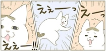 わざとらしい猫。「いま初めて知りました」みたいな顔をするけど...！／うちの猫がまた変なことしてる。4