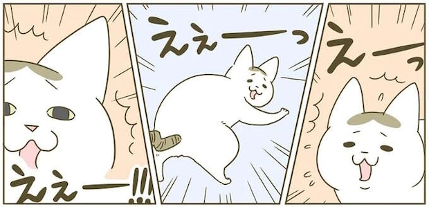 わざとらしい猫。「いま初めて知りました」みたいな顔をするけど...!/うちの猫がまた変なことしてる。4