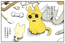 「大変だ...捨て猫...」保護された生後数週間の子猫。先住猫と仲良くやっていける？／茶トラのやっちゃん2