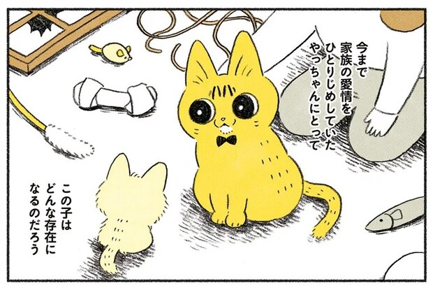 「大変だ...捨て猫...」保護された生後数週間の子猫。先住猫と仲良くやっていける？／茶トラのやっちゃん2