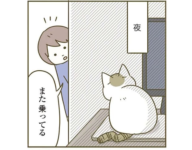 ノートPCの上でぬくぬくする猫。電源オフしても乗り続ける「理由」は...／うちの猫がまた変なことしてる。4