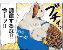 ペンは自分の羽根で作るのがトレンド。 見ていたマスターの告白に「えっ⁉」／キジバトくん日記