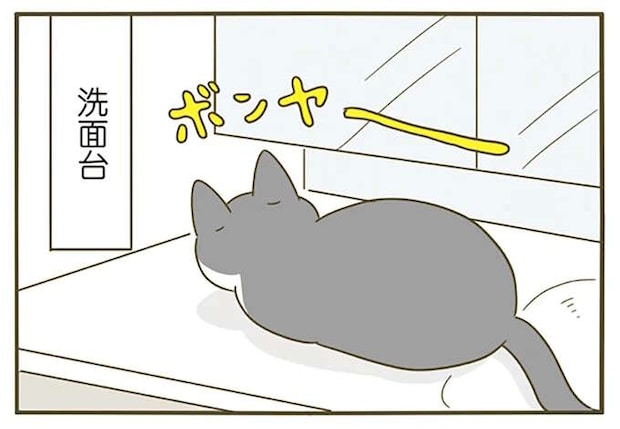 玄関の床、洗面台、浴槽の中...猫がそこらじゅうで転がるようになったら...？／うちの猫がまた変なことしてる。4
