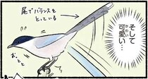 美しい見た目と可愛いしぐさ。でも声を聞くと...えっ!? ギャップも魅力の鳥／まだまだ！意外と知らない鳥の生活