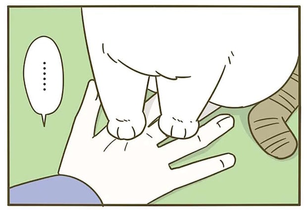 猫が遠い目をして「飼い主の手を踏んづける」。その理由は...んん？／うちの猫がまた変なことしてる。4