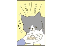 「消えたんですけど...」鼻息荒く興奮した猫が「こんな顔」に／うちの猫がまた変なことしてる。4